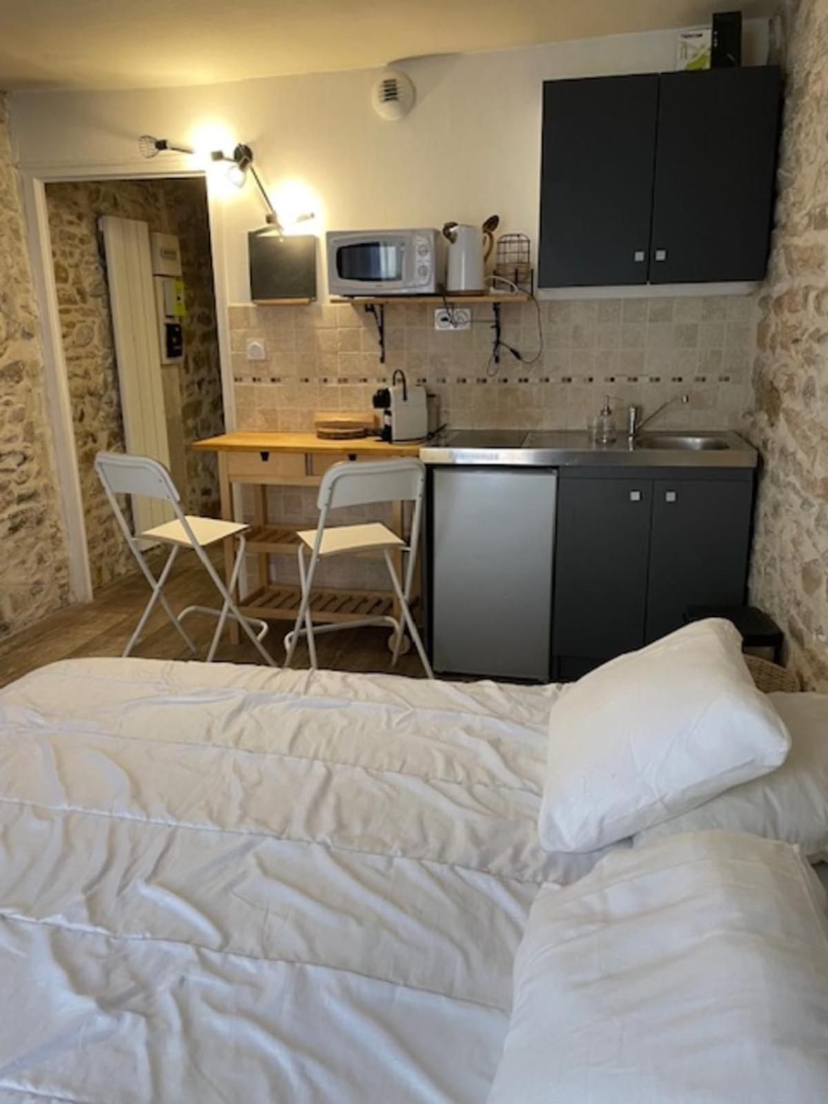 Studio With Exposed Stone Vieux Lyon Лион Екстериор снимка